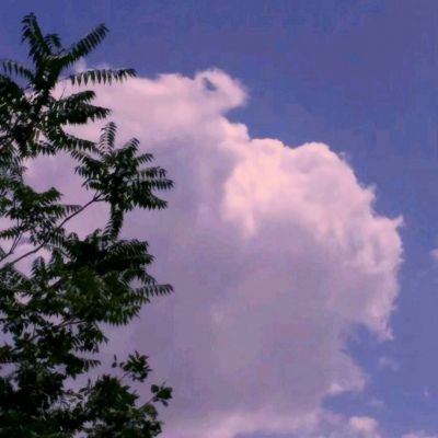 英雄法则手游下载